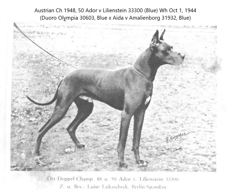 Ador v Lilienstein